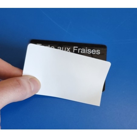 100 Films protecteurs adhésifs overlays pour cartes 54 x 86 mm